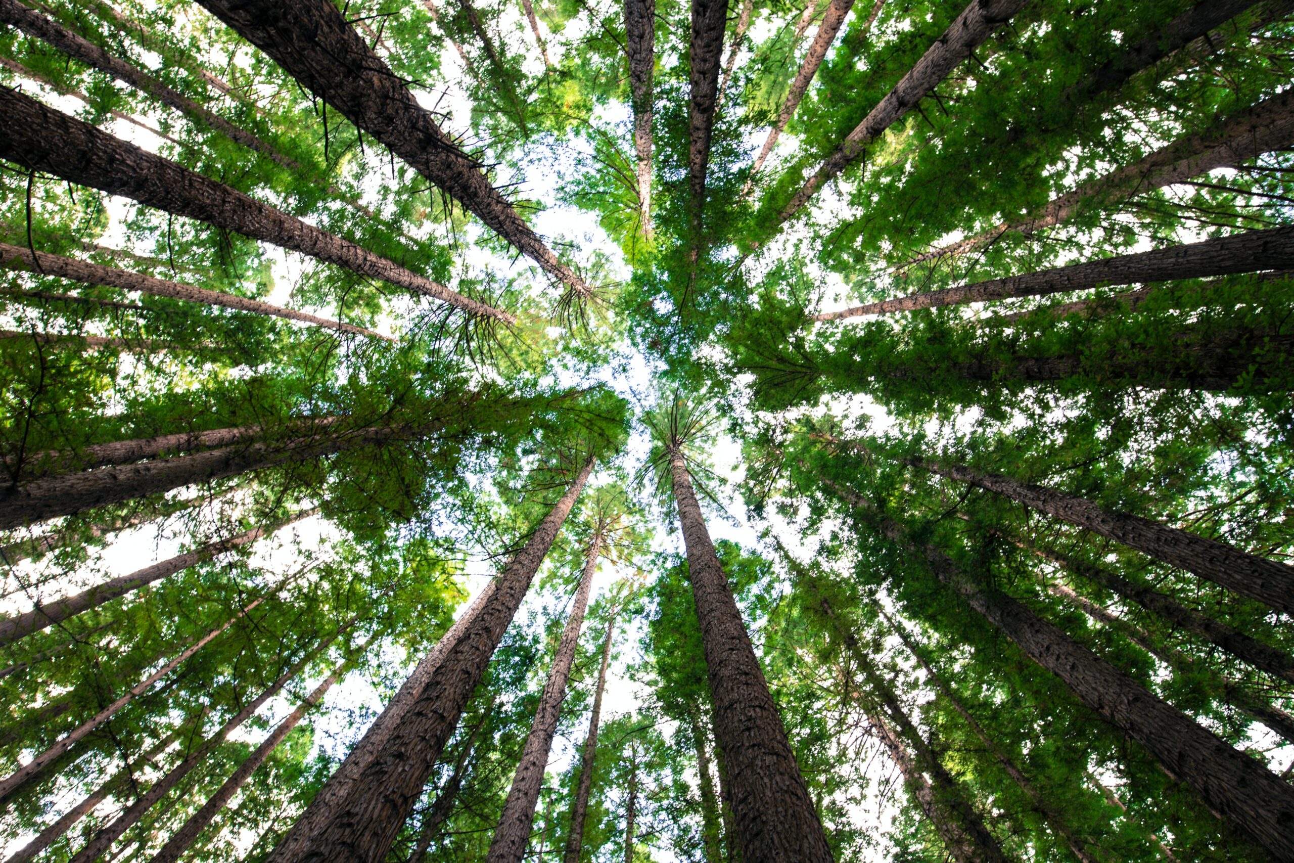 arnaud mesureur 7EqQ1s3wIAI unsplash